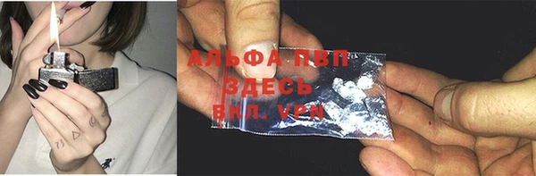 прущие крисы Пересвет