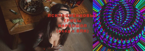 гашик Дмитриев