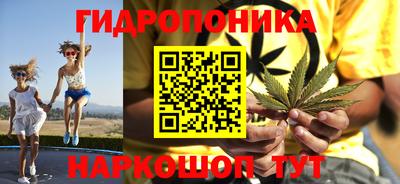 гидра Беслан