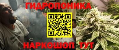 не бодяженный Бийск