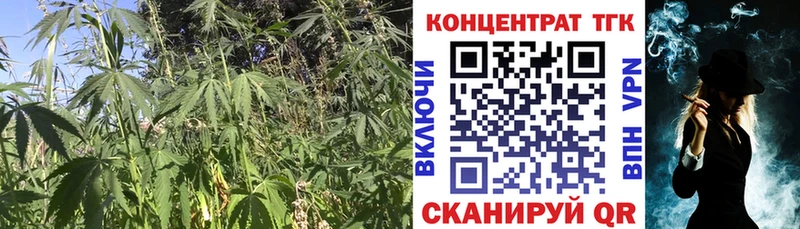 Дистиллят ТГК Wax  дарк нет Telegram  Котлас 