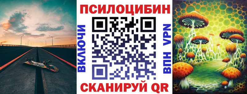 купить закладку  мега как зайти  Псилоцибиновые грибы прущие грибы  Котлас 