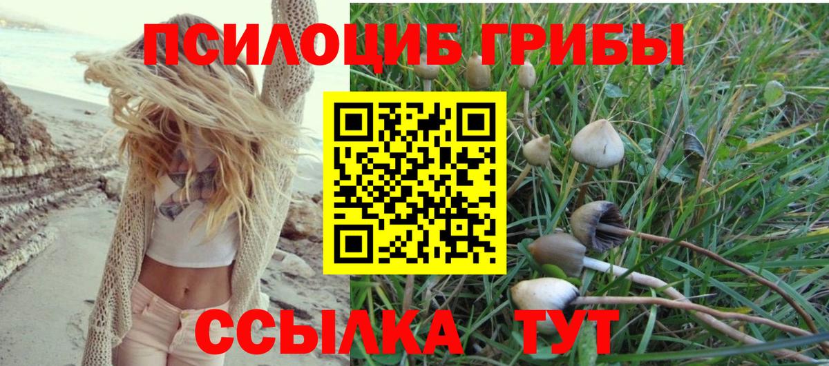 Галлюциногенные грибы Cubensis  Котлас 